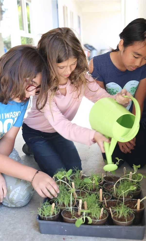 eslr-personal image eslr-personal.jpg