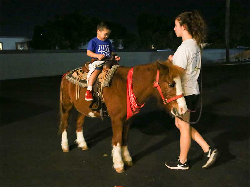 Screenshot-2024-10-22-at-11151PM image