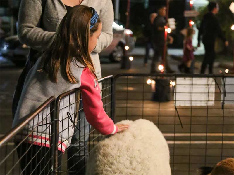 Screenshot-2024-10-22-at-11250PM image