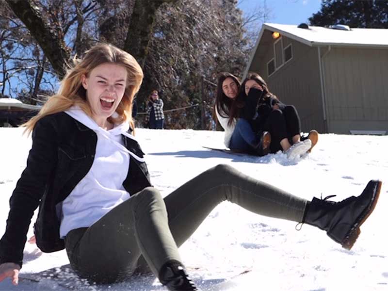 Screenshot-2024-10-22-at-13329PM image