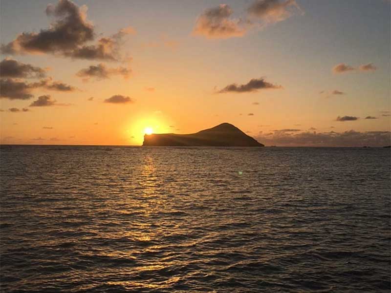 Screenshot-2024-10-22-at-14254PM image