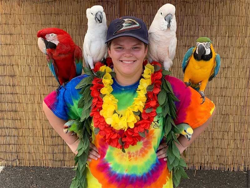 Screenshot-2024-10-22-at-14315PM image