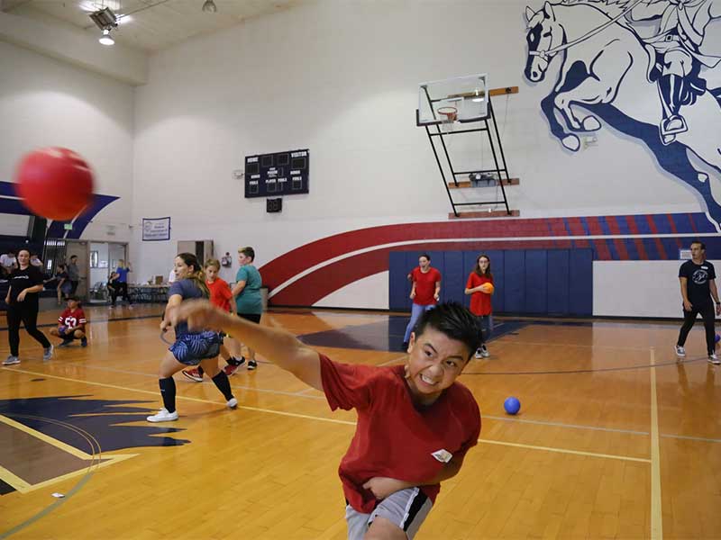 Screenshot-2024-10-22-at-112656AM image