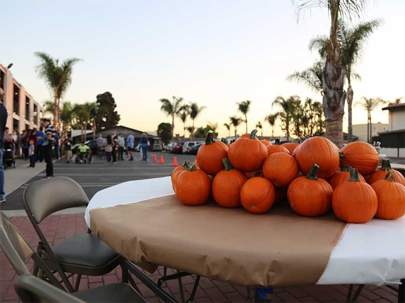 Screenshot-2024-10-22-at-113054AM image